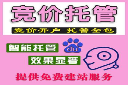 百度搜索推广实战：经典案例深度剖析